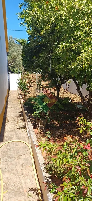 Moradia T4 à venda em Reguengo e São Julião, Portalegre — foto 24