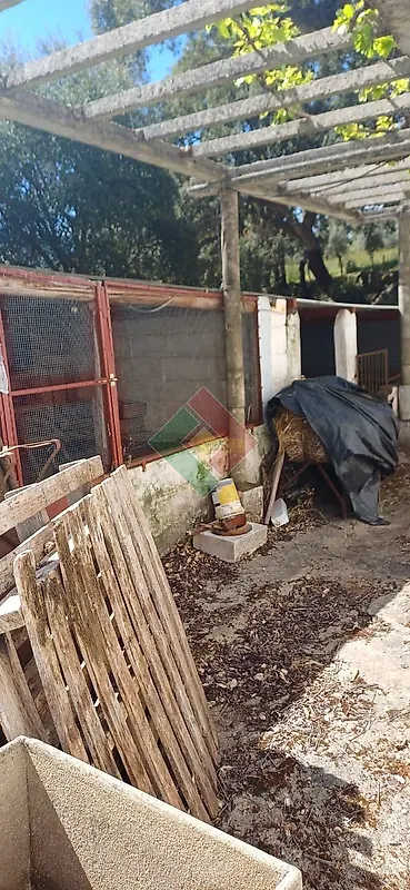 Moradia T4 à venda em Reguengo e São Julião, Portalegre — foto 28
