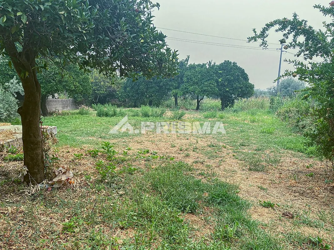 Moradia T3 à venda em Soalheira, Fundão — foto 39