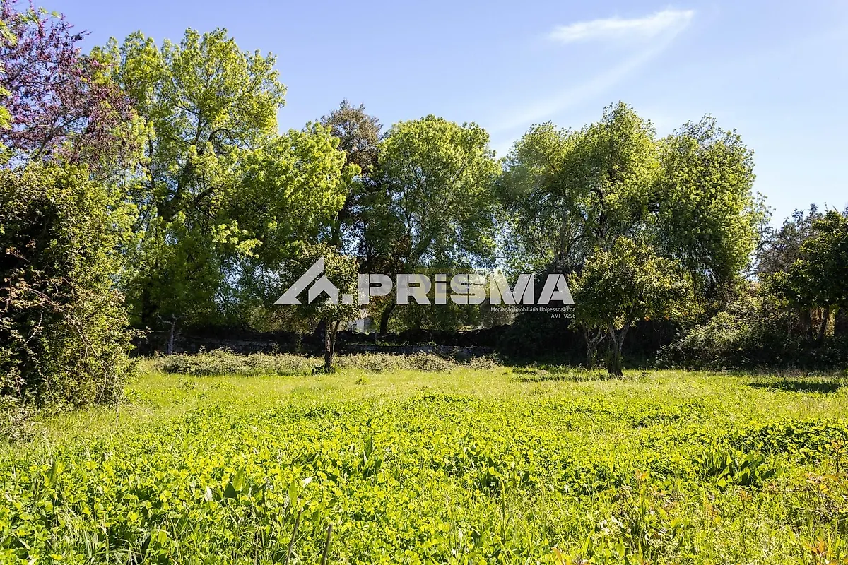 Moradia T5 à venda em São Miguel de Acha, Idanha-a-Nova — foto 36