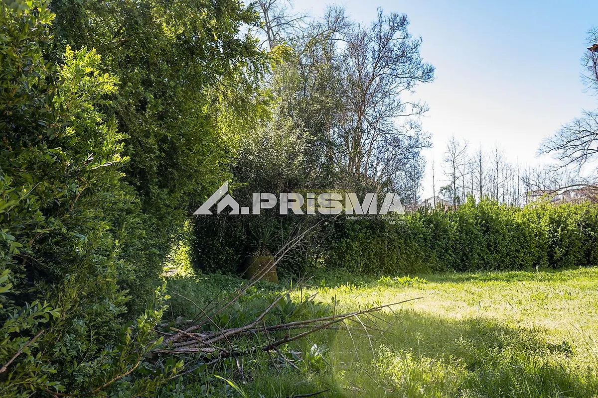 Moradia T5 à venda em São Miguel de Acha, Idanha-a-Nova — foto 9