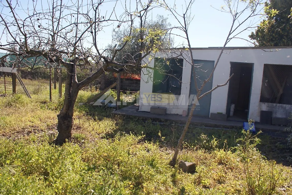Moradia T5 à venda em Benquerenças, Castelo Branco — foto 12