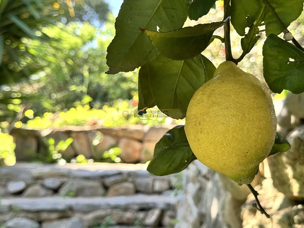 Moradia T1 à venda em São Clemente, Loulé — foto 33