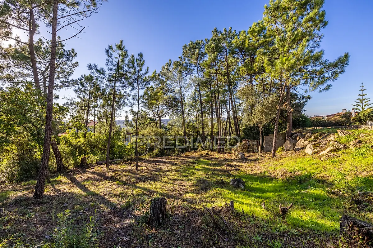 Moradia T6+ à venda em Aljubarrota, Alcobaça — foto 33