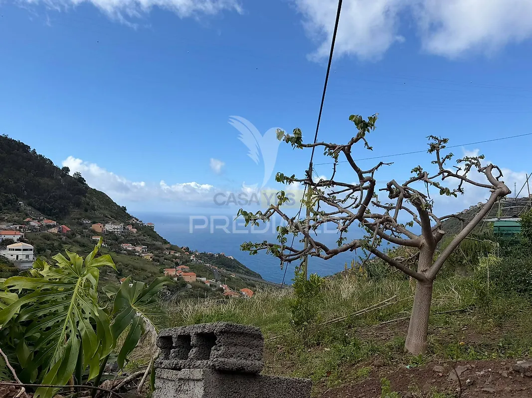 Moradia T1 à venda em Campanário, Ribeira Brava — foto 3