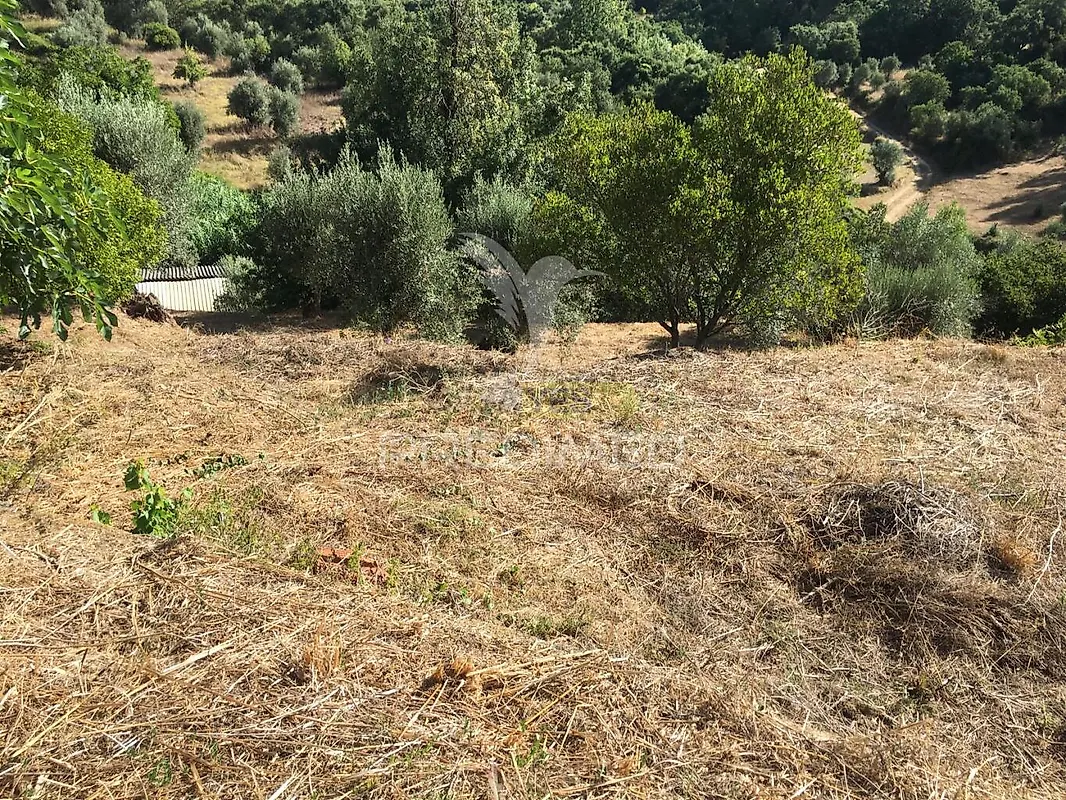 Moradia T6+ à venda em Casais e Alviobeira, Tomar — foto 7