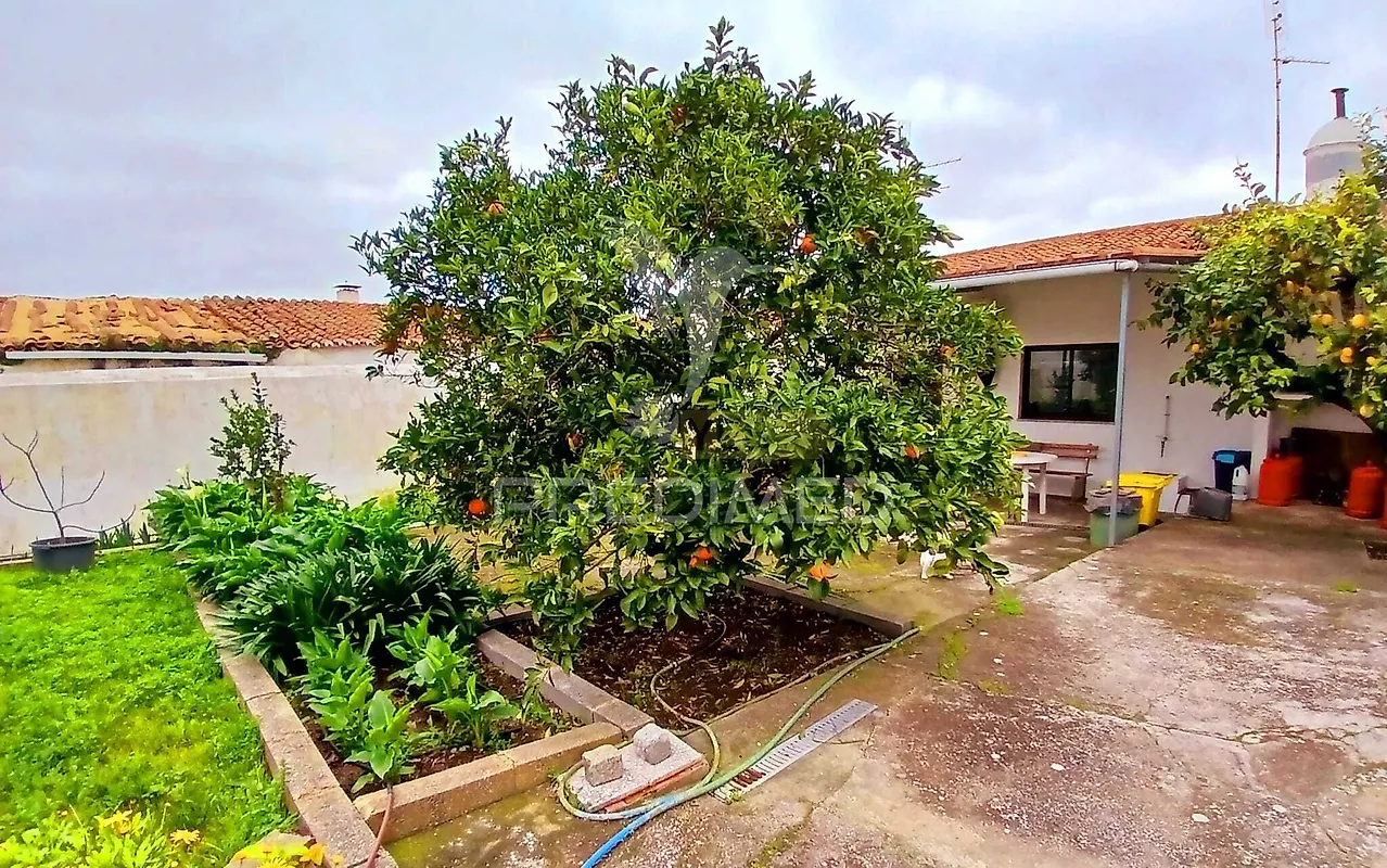 Moradia T4 à venda em Baleizão, Beja — foto 30