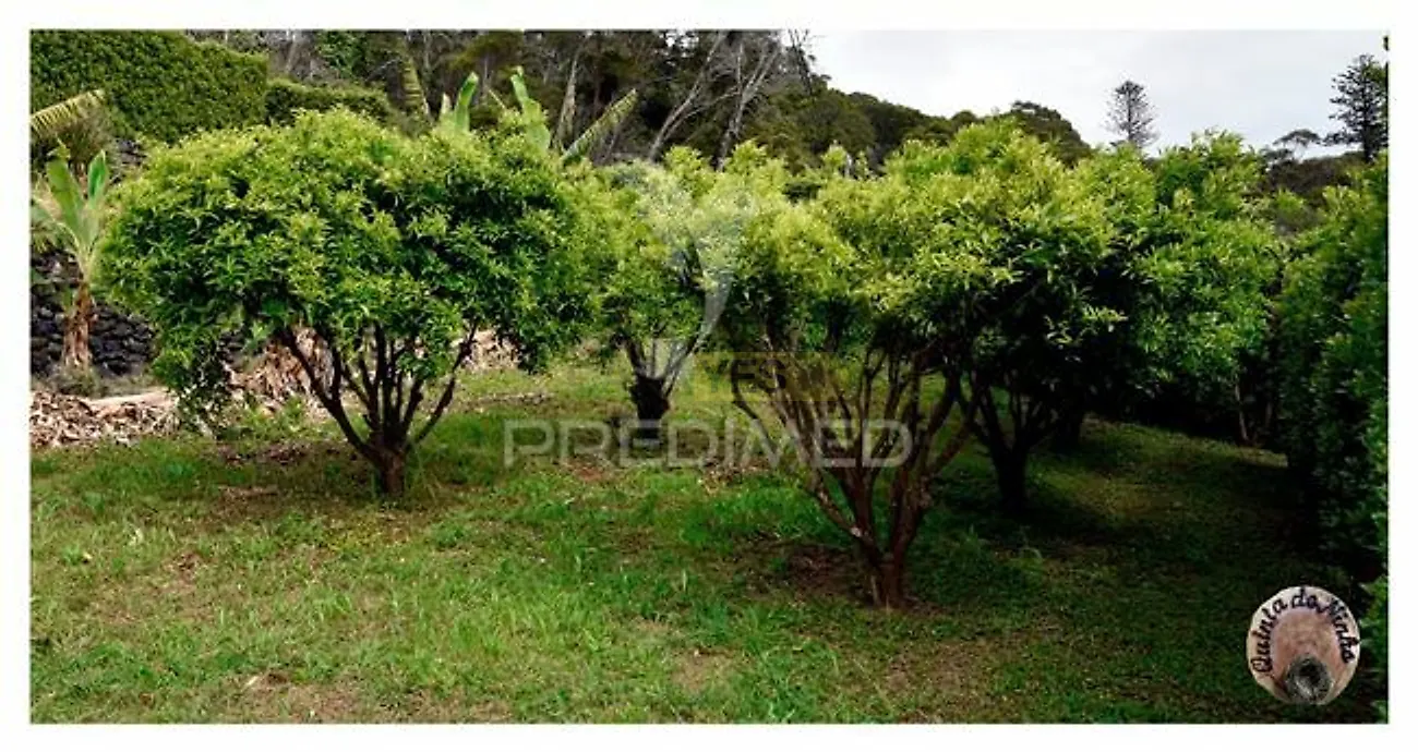 Moradia T3 à venda em Manadas (Santa Bárbara), Velas — foto 6