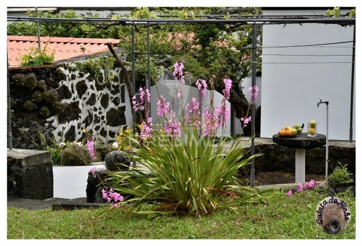 Moradia T3 à venda em Manadas (Santa Bárbara), Velas — foto 4