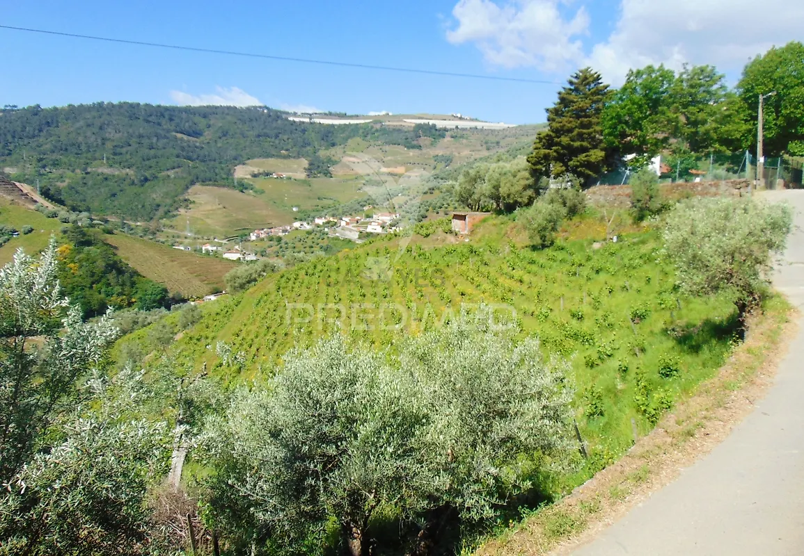 Moradia T4 à venda em Abaças, Vila Real — foto 33