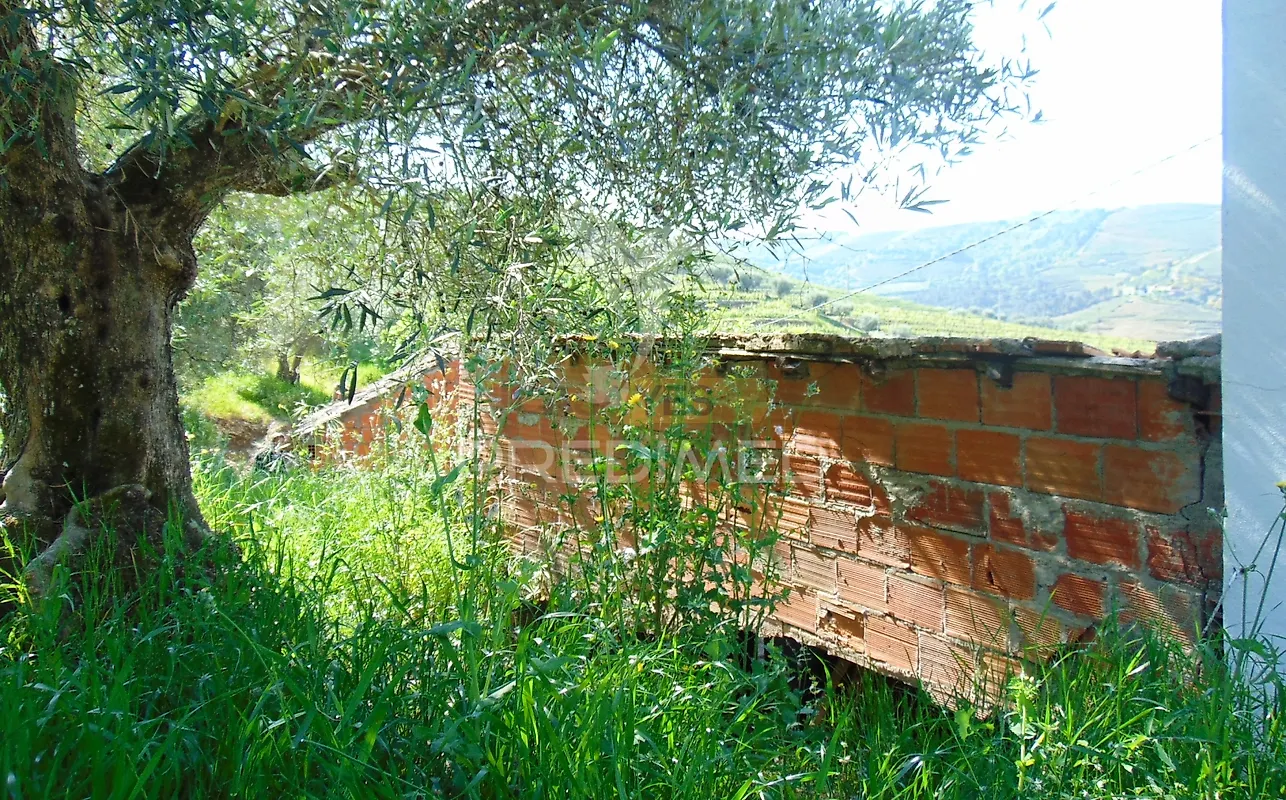 Moradia T4 à venda em Abaças, Vila Real — foto 8