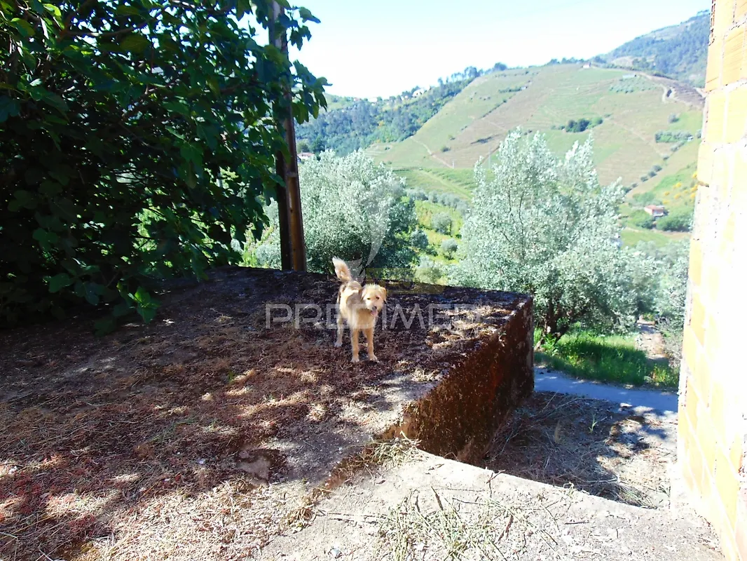 Moradia T4 à venda em Abaças, Vila Real — foto 26