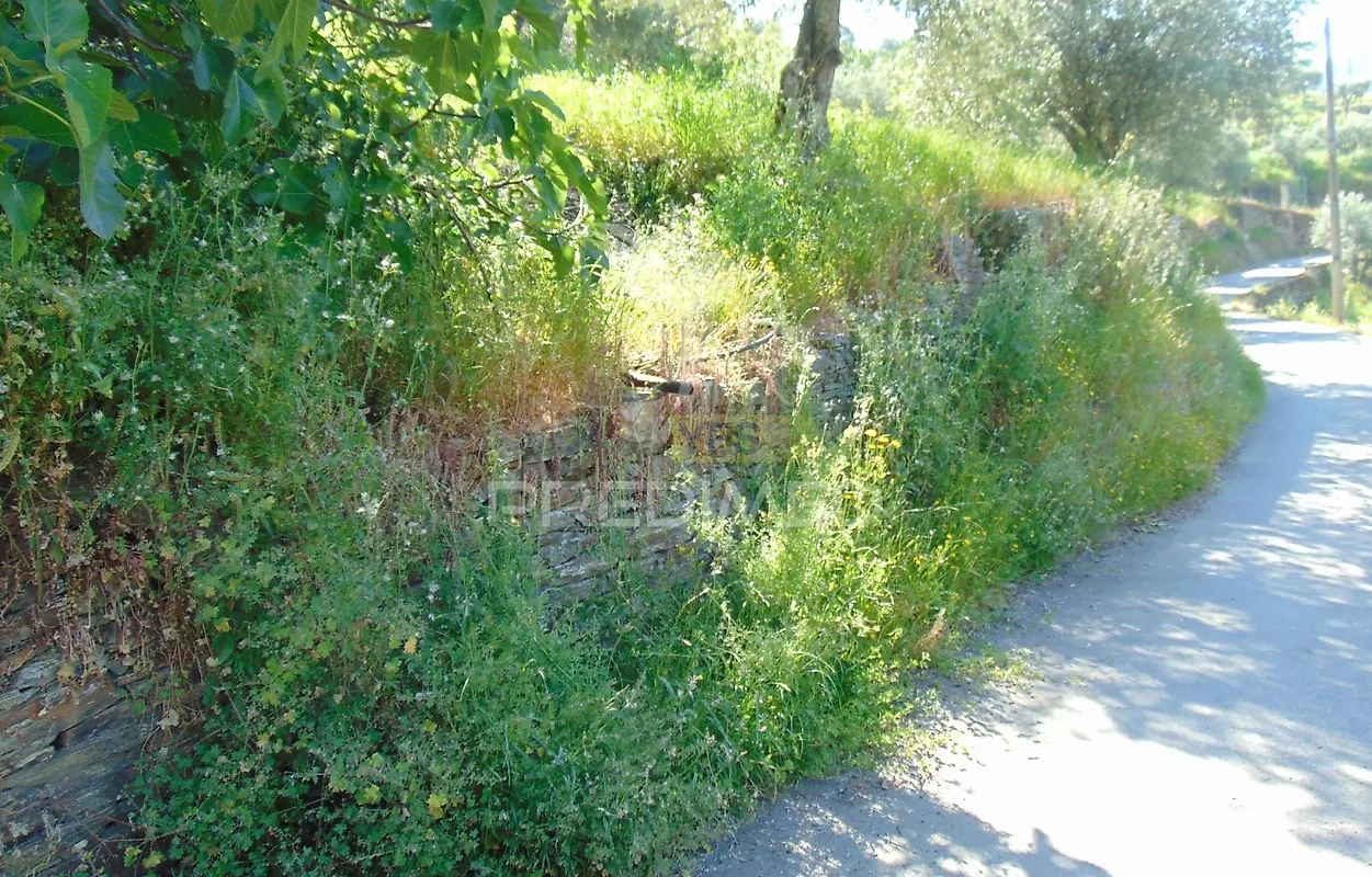 Moradia T4 à venda em Abaças, Vila Real — foto 32
