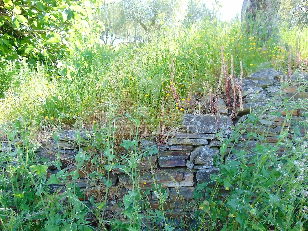 Moradia T4 à venda em Abaças, Vila Real — foto 31