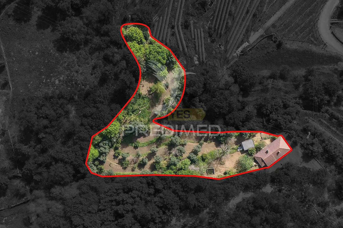 Moradia T3 à venda em Vilela, Seramil e Paredes Secas, Amares — foto 6