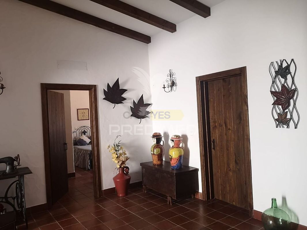 Moradia T4 à venda em Entradas, Castro Verde — foto 12