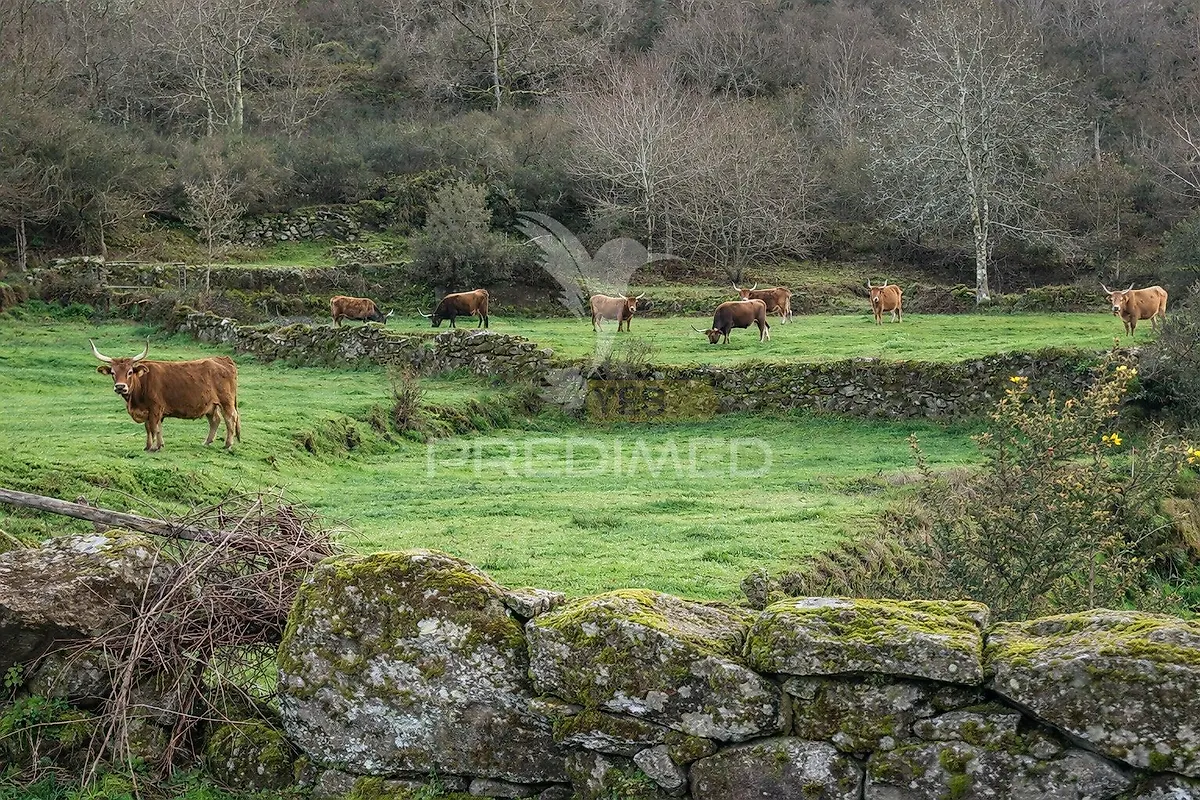 Moradia T2 à venda em Cabreiro, Arcos de Valdevez — foto 6