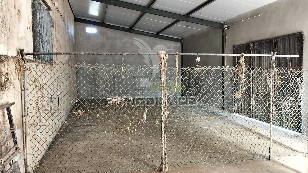 Moradia T4 à venda em Casével e Vaqueiros, Santarém — foto 38