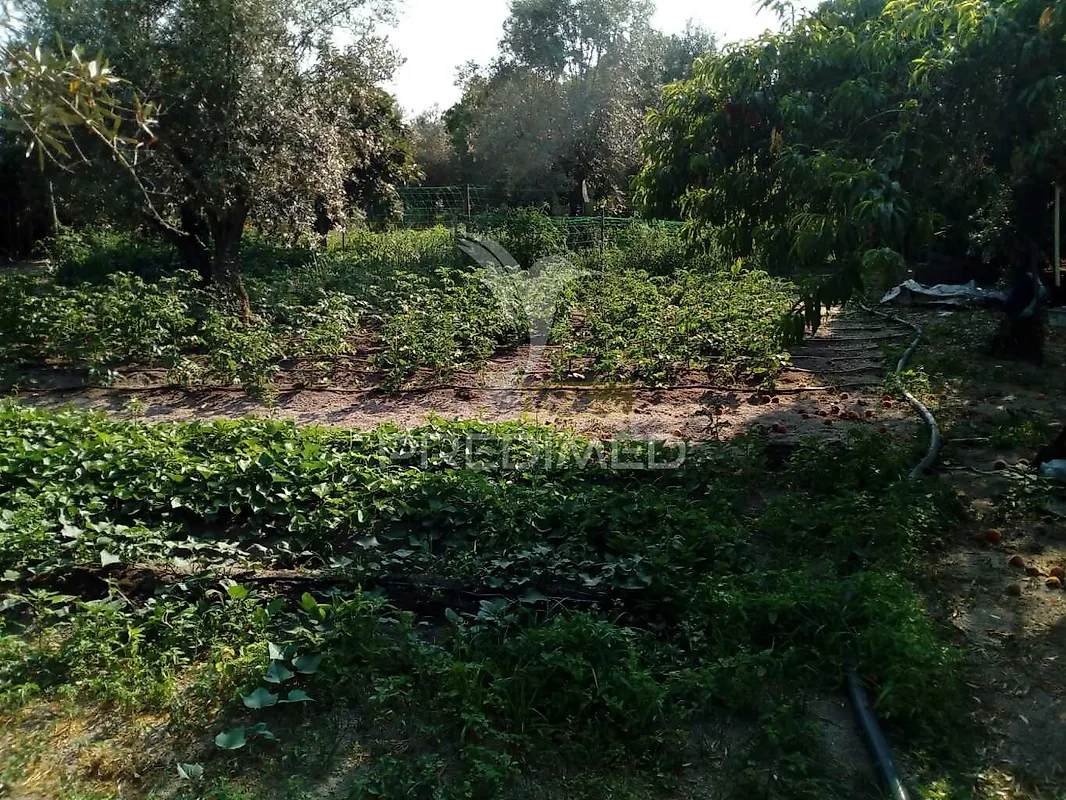 Moradia T3 à venda em Ponte de Sor, Tramaga e Vale de Açor, Ponte de Sor — foto 31