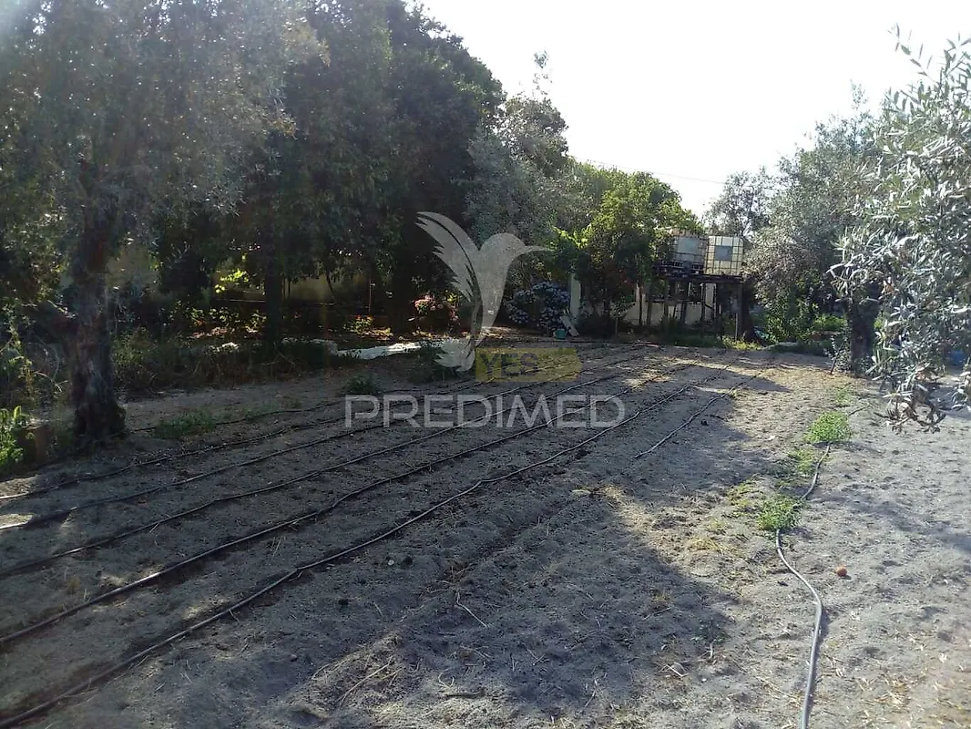 Moradia T3 à venda em Ponte de Sor, Tramaga e Vale de Açor, Ponte de Sor — foto 29