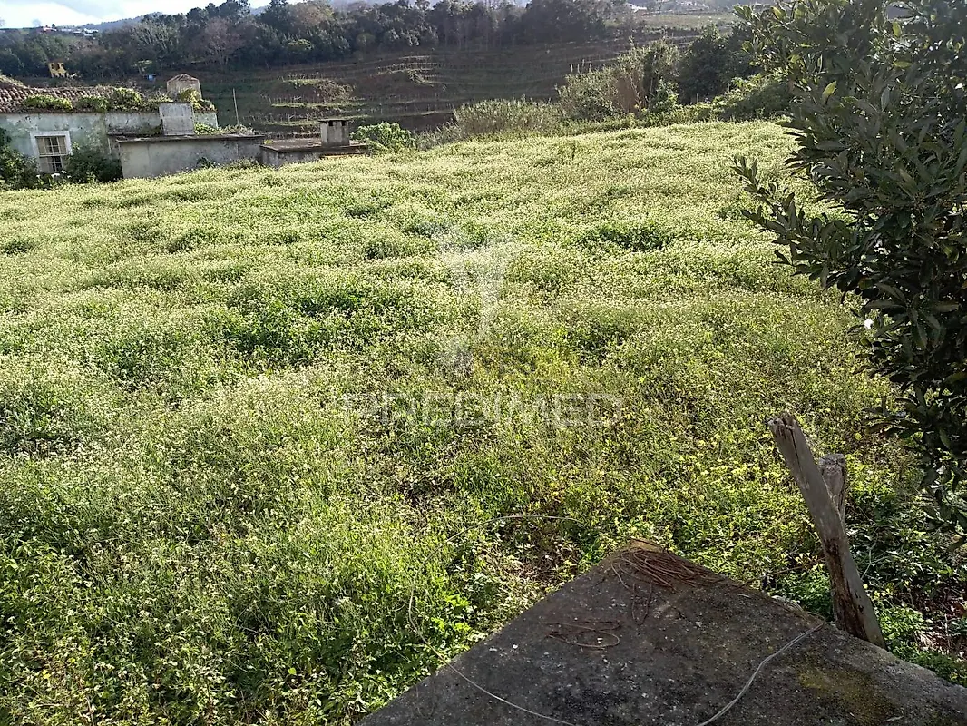 Moradia T6+ à venda em São Jorge, Santana — foto 9