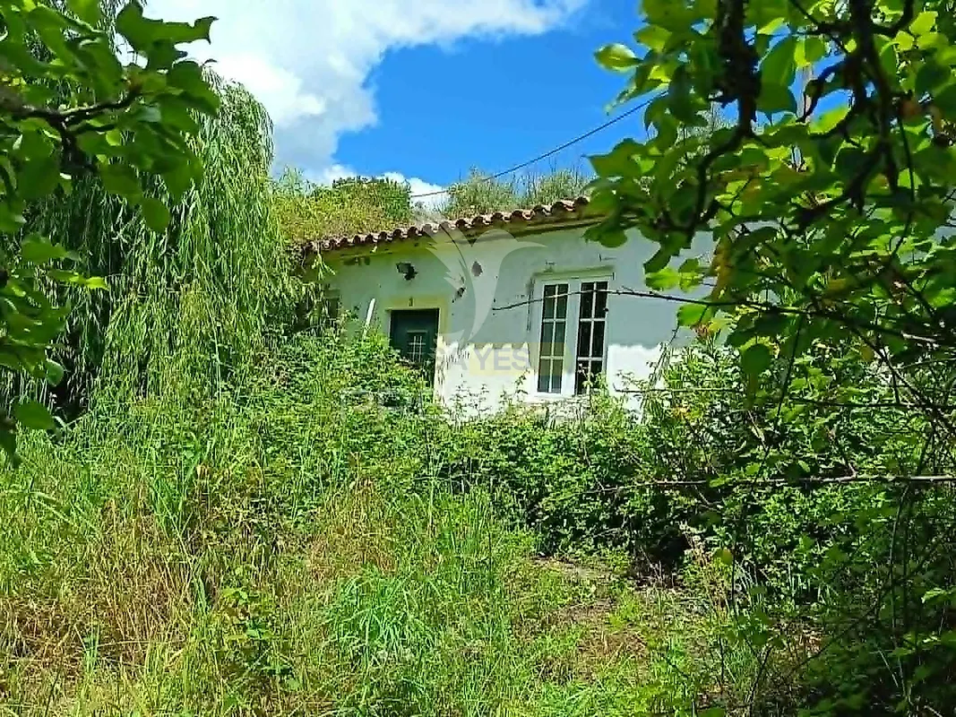 Moradia T4 à venda em Ribeira de Nisa e Carreiras, Portalegre — foto 4