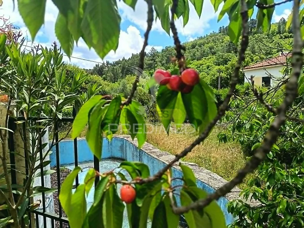 Moradia T4 à venda em Ribeira de Nisa e Carreiras, Portalegre — foto 27