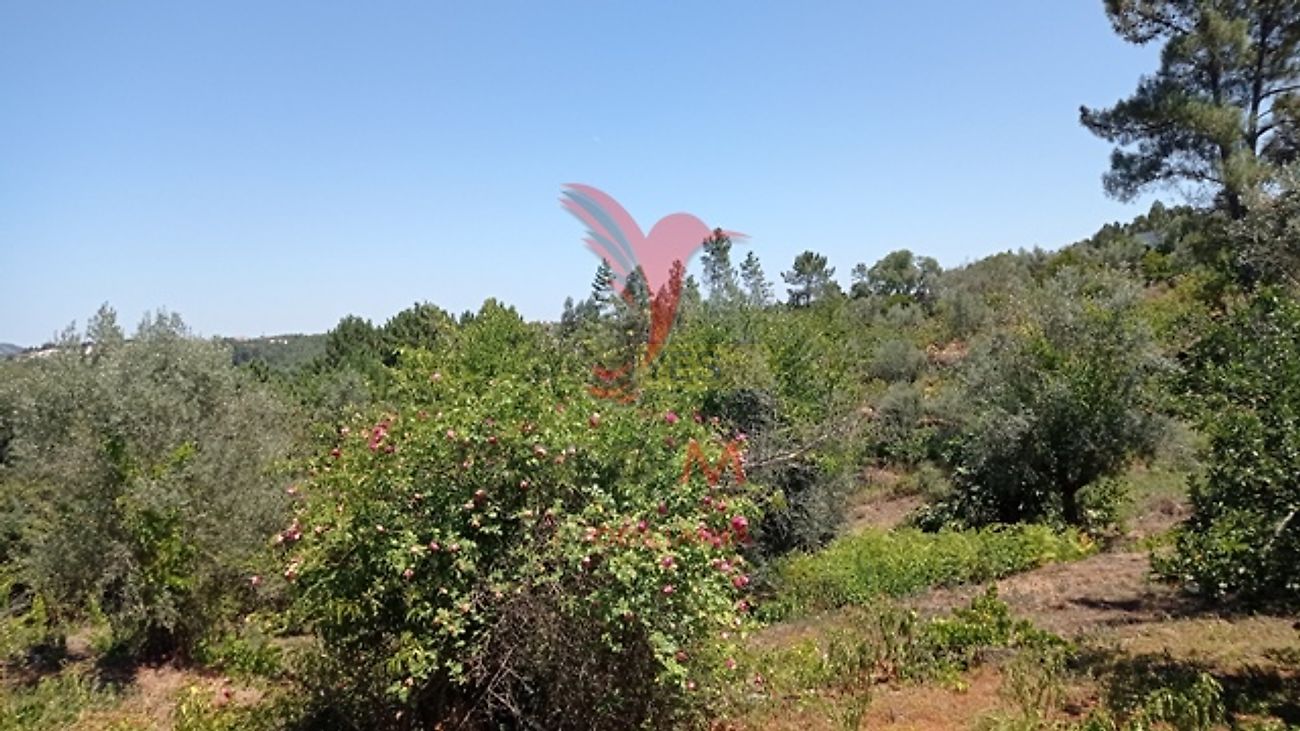 Moradia T3 à venda em Aldeia do Mato e Souto, Abrantes — foto 21