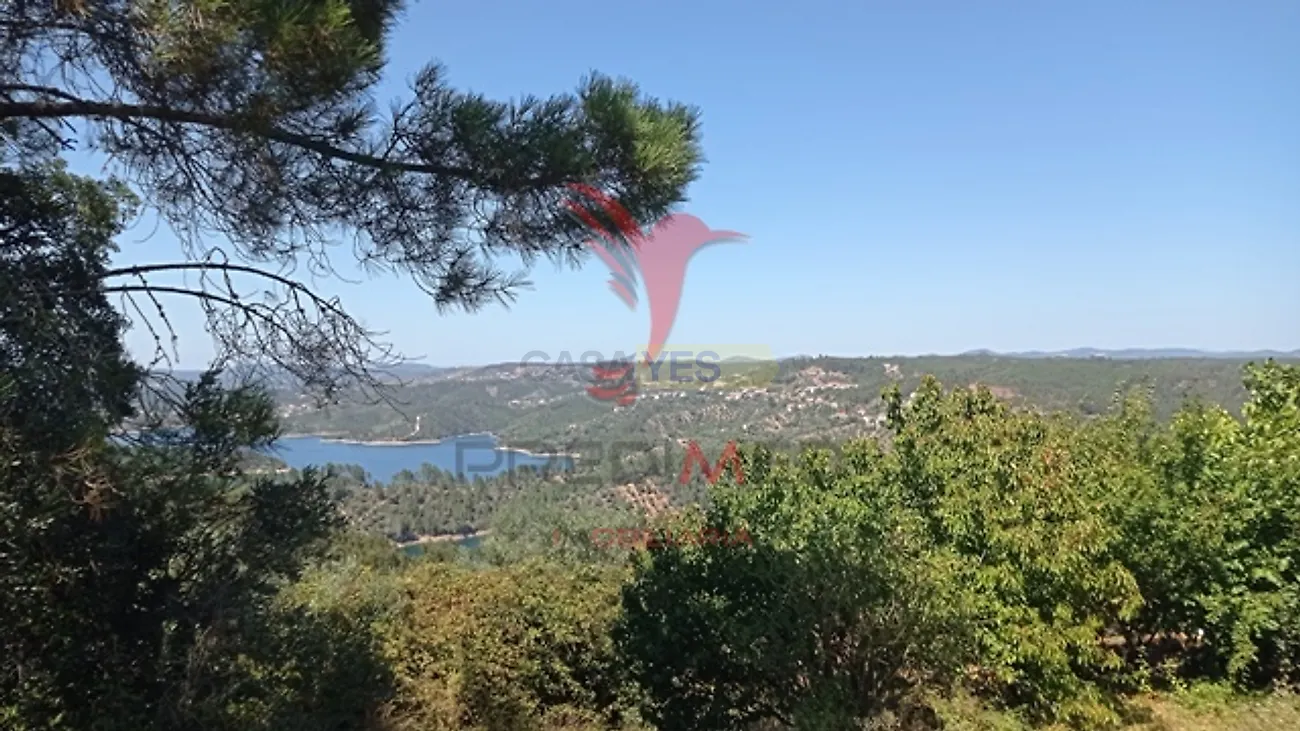 Moradia T3 à venda em Aldeia do Mato e Souto, Abrantes — foto 29