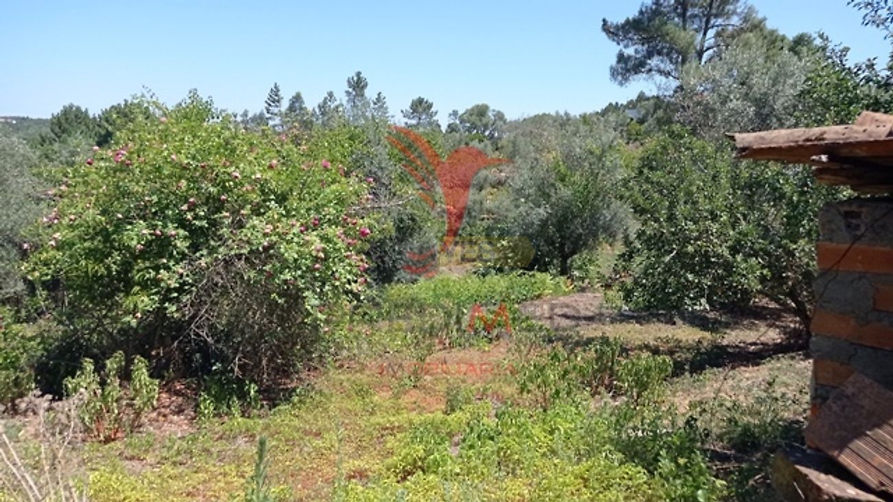 Moradia T3 à venda em Aldeia do Mato e Souto, Abrantes — foto 23