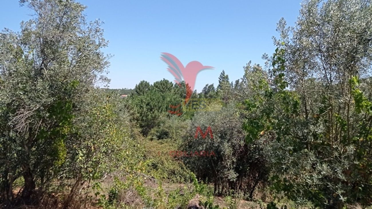 Moradia T3 à venda em Aldeia do Mato e Souto, Abrantes — foto 24