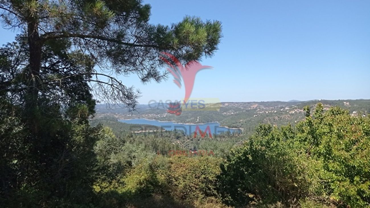 Moradia T3 à venda em Aldeia do Mato e Souto, Abrantes — foto 27