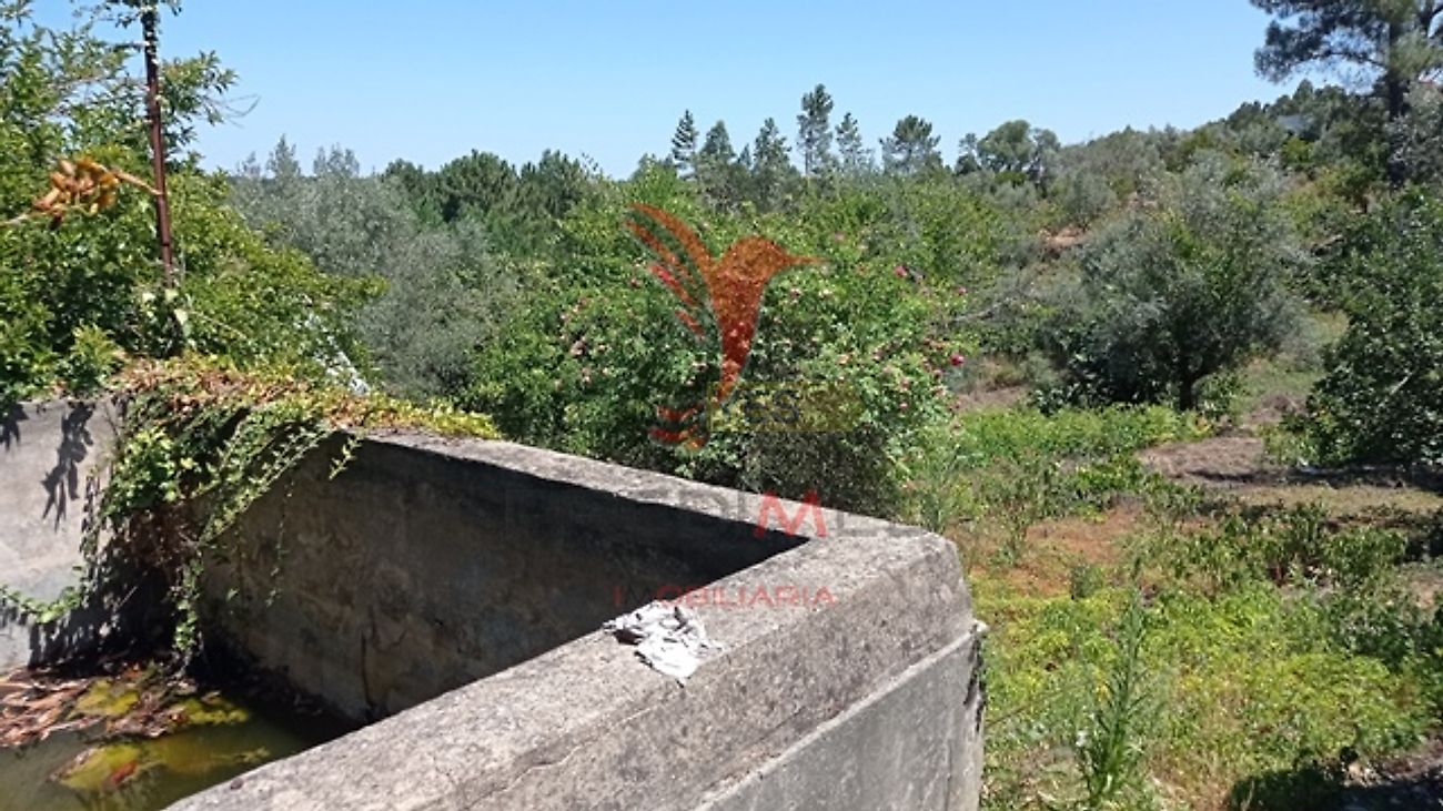 Moradia T3 à venda em Aldeia do Mato e Souto, Abrantes — foto 20