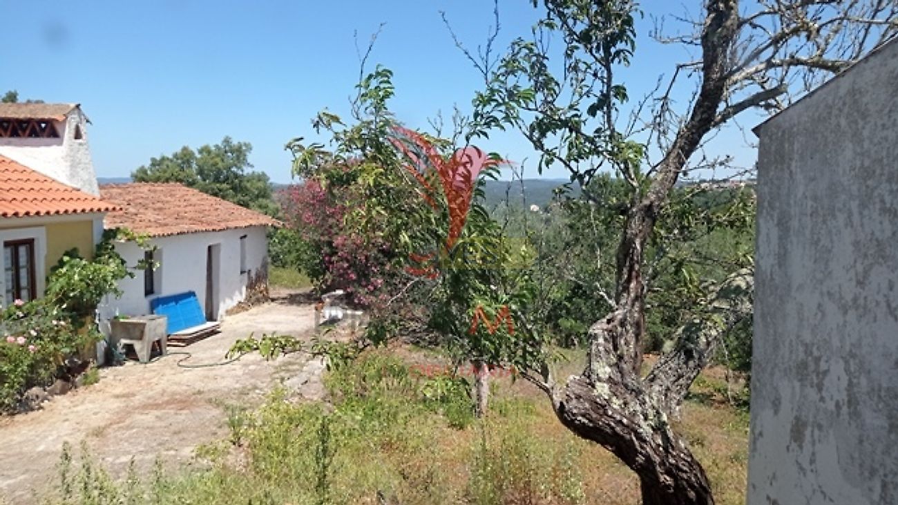 Moradia T3 à venda em Aldeia do Mato e Souto, Abrantes — foto 15