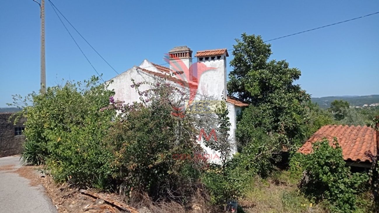 Moradia T3 à venda em Aldeia do Mato e Souto, Abrantes — foto 31