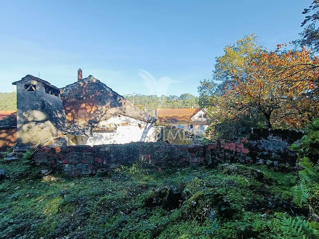 Moradia T2 à venda em São Mamede, Batalha — foto 13