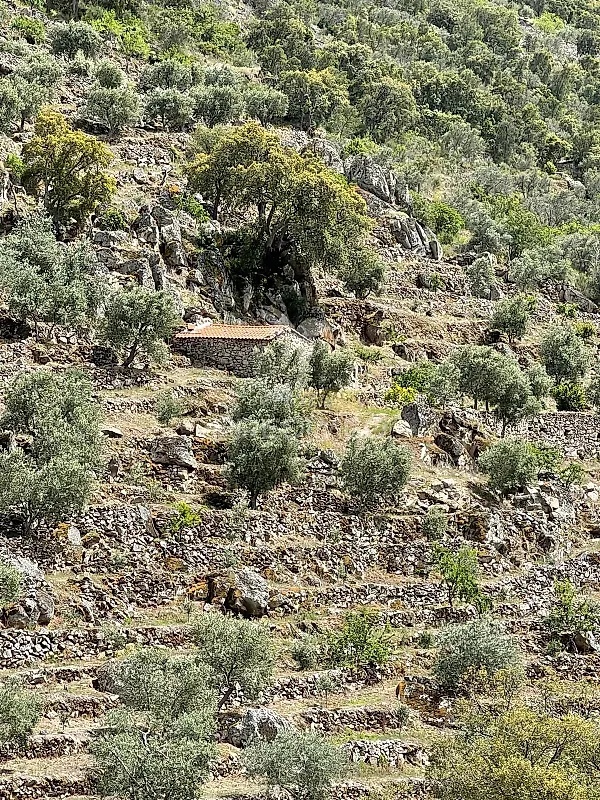 Moradia T2 à venda em Vilarinho da Castanheira, Carrazeda de Ansiães — foto 6