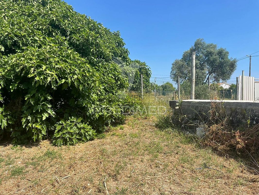 Moradia T6+ à venda em Manique do Intendente, Vila Nova de São Pedro e Maçussa, Azambuja — foto 4
