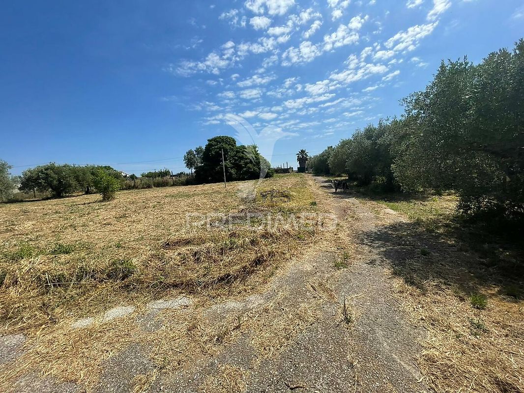 Moradia T6+ à venda em Manique do Intendente, Vila Nova de São Pedro e Maçussa, Azambuja — foto 3
