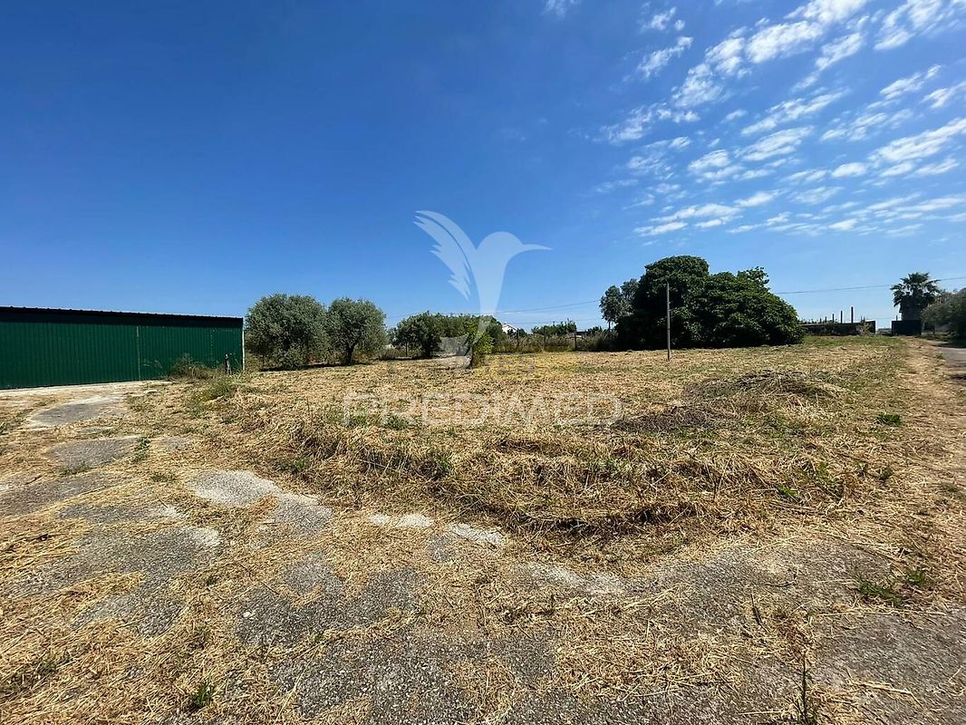 Moradia T6+ à venda em Manique do Intendente, Vila Nova de São Pedro e Maçussa, Azambuja — foto 8
