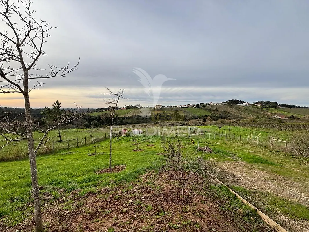 Moradia T4 à venda em Alvorninha, Caldas da Rainha — foto 36
