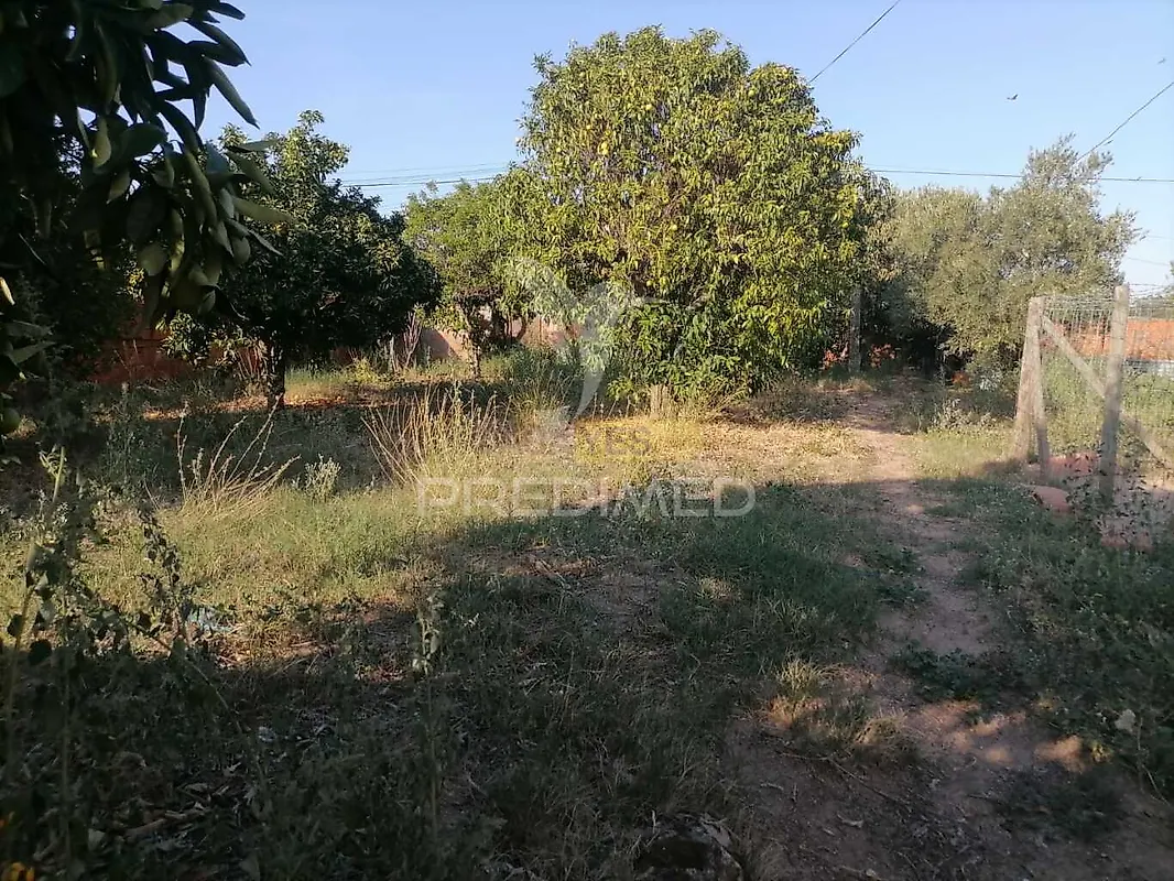Moradia T4 à venda em Alagoa, Portalegre — foto 22