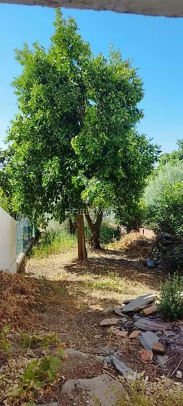 Moradia T3 à venda em Montalvão, Nisa — foto 15