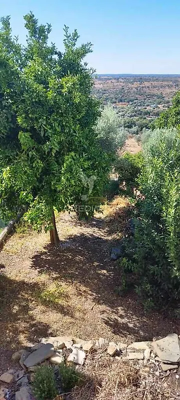 Moradia T3 à venda em Montalvão, Nisa — foto 10