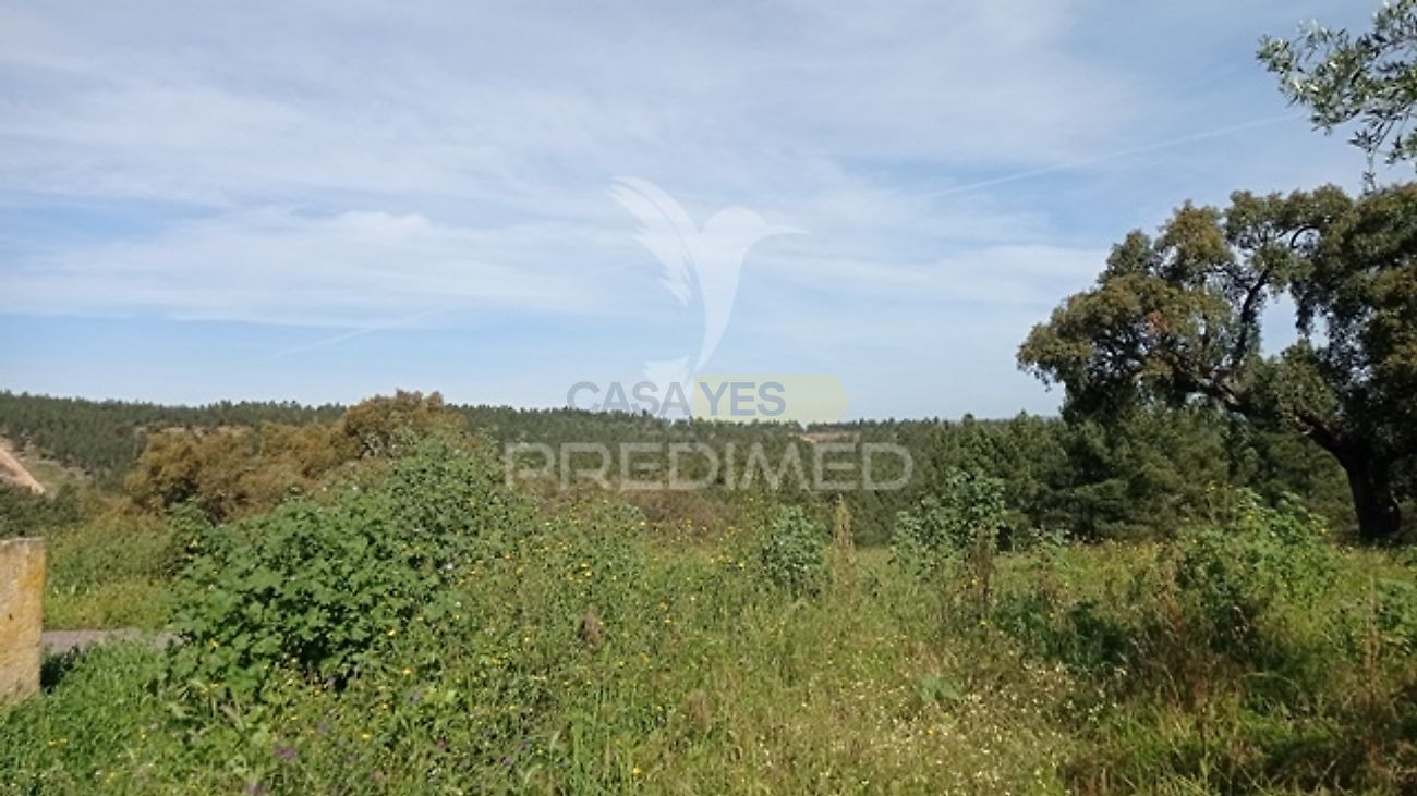 Moradia T2 à venda em Alvega e Concavada, Abrantes — foto 26