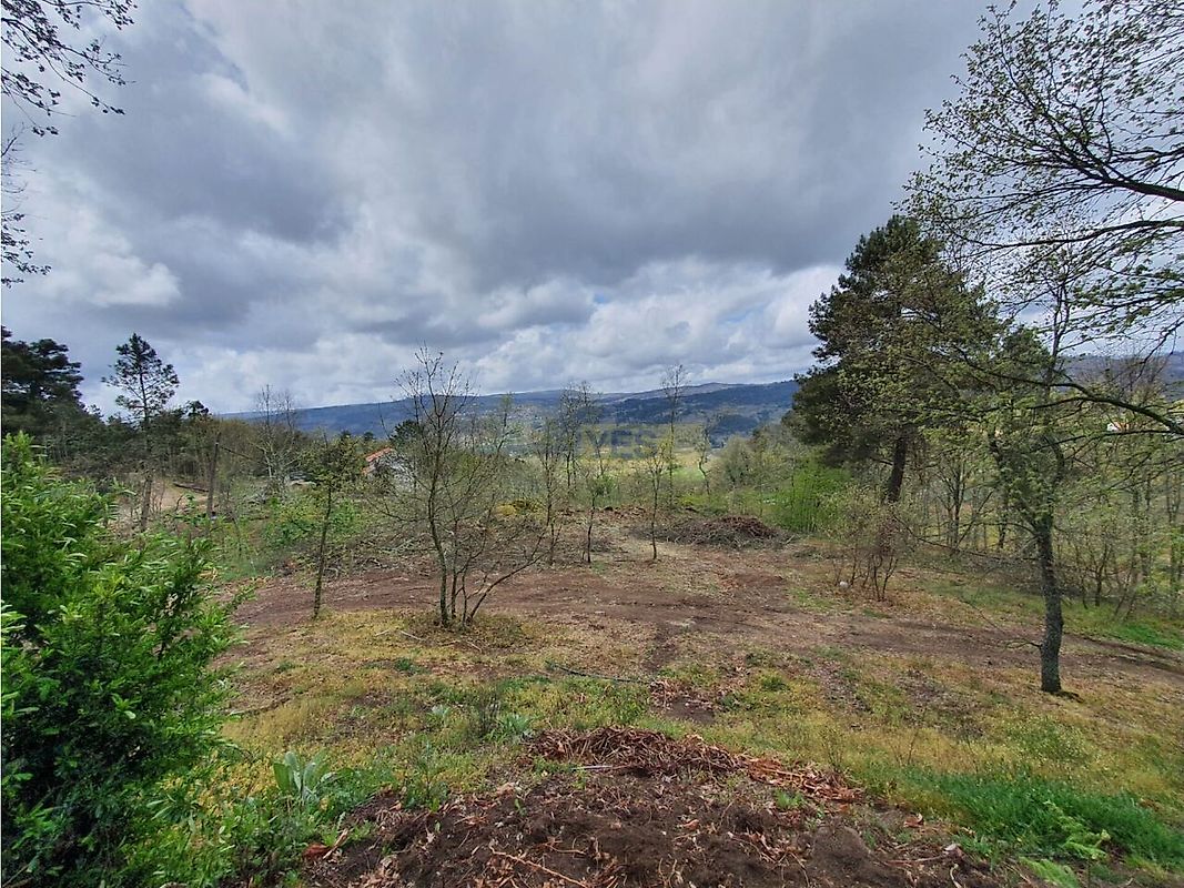 Moradia T5 à venda em Sernancelhe e Sarzeda, Sernancelhe — foto 10