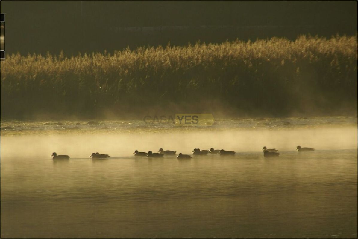 Moradia T2 à venda em Pó, Bombarral — foto 29