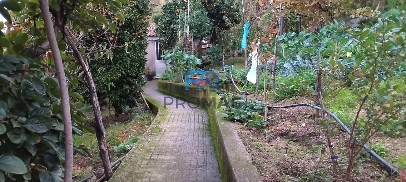 Moradia T4 à venda em Felgueiras e Feirão, Resende — foto 19