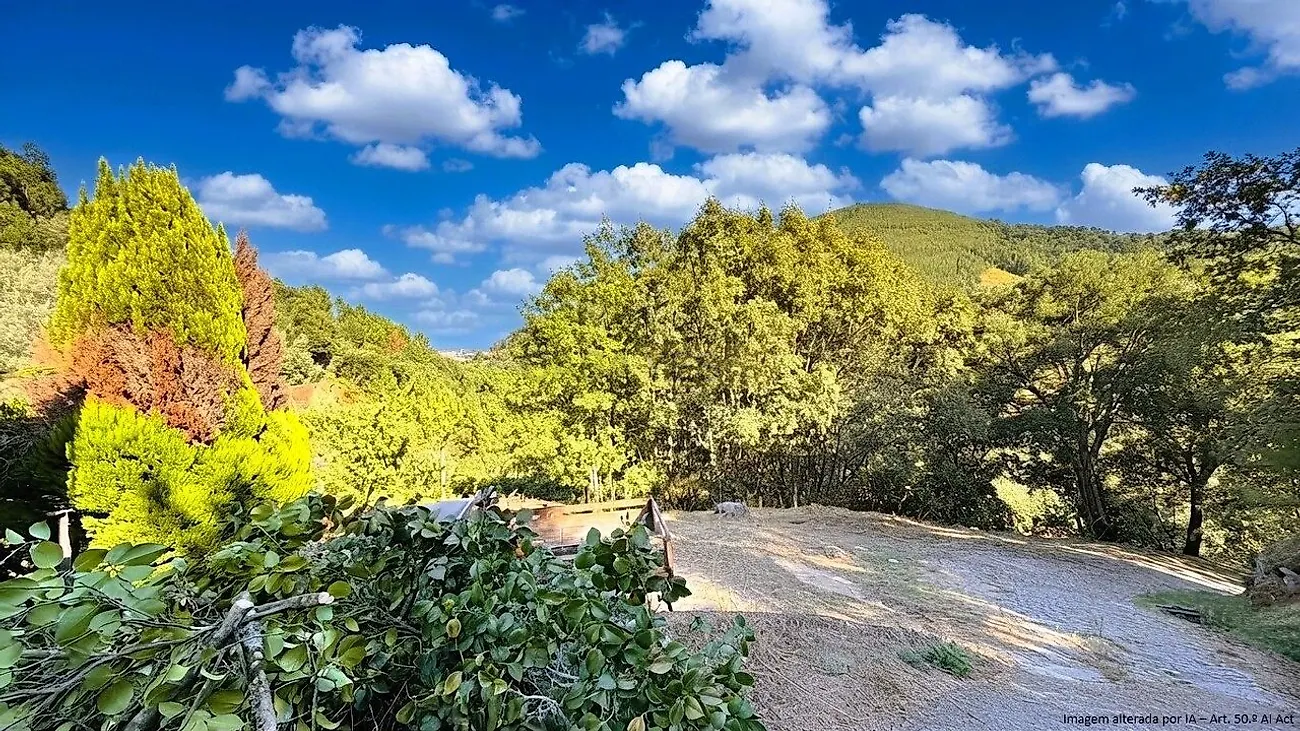 Moradia T4 à venda em Ancede e Ribadouro, Baião — foto 9