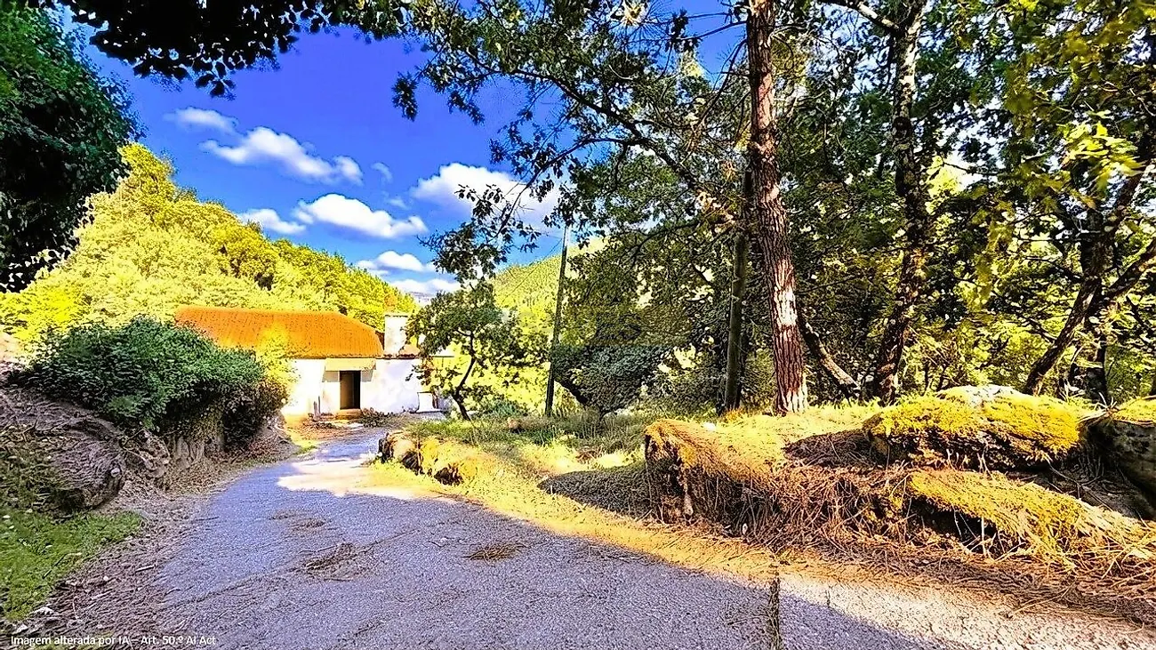 Moradia T4 à venda em Ancede e Ribadouro, Baião — foto 8